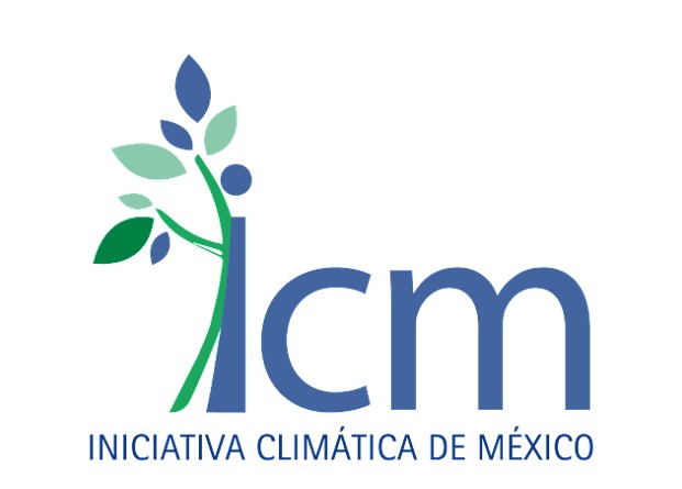 ICM